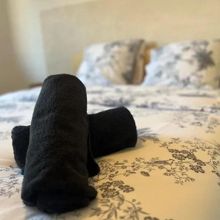 Cosy Rent Strasbourg Appartement Wifi Terrasse Zewnętrze zdjęcie