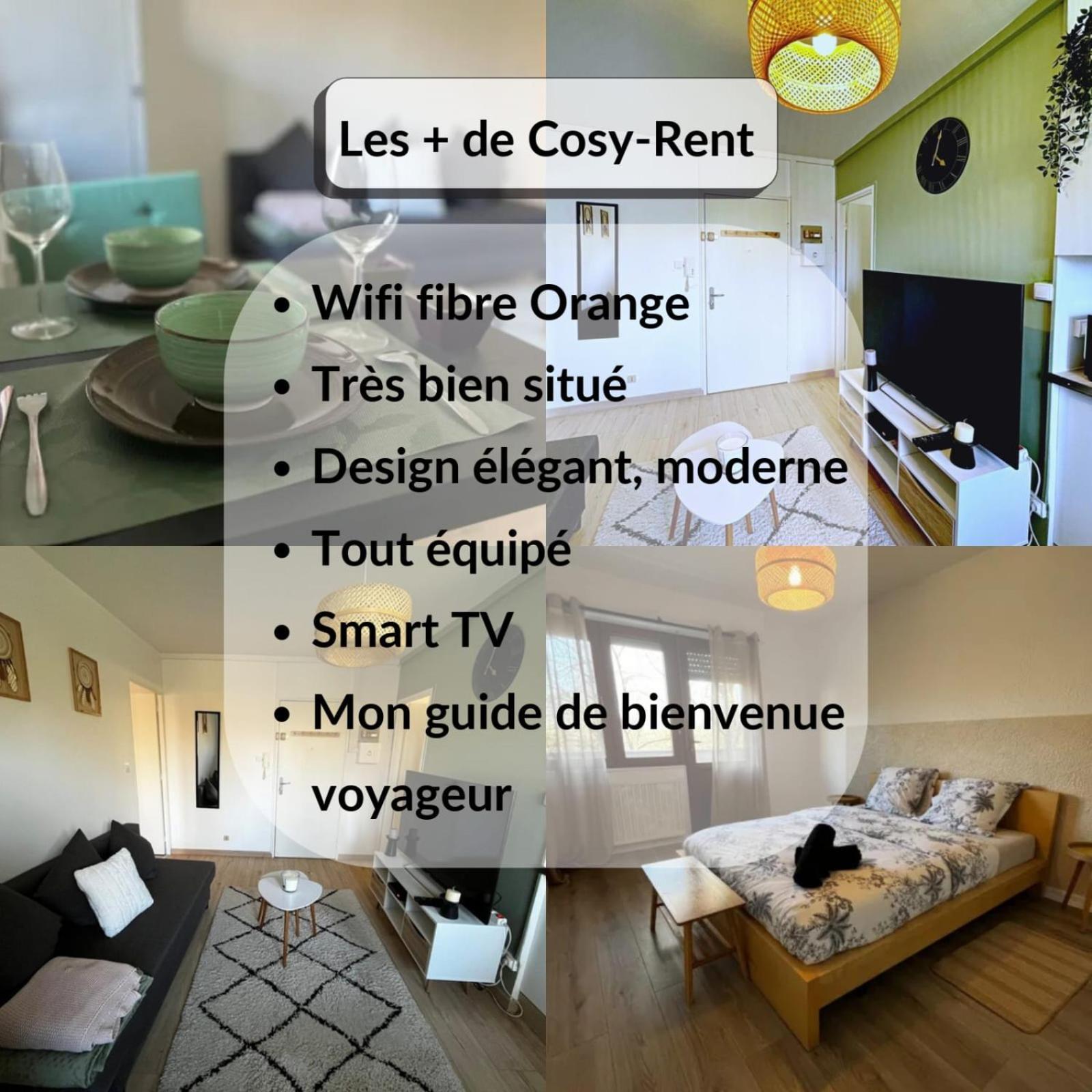 Cosy Rent Strasbourg Appartement Wifi Terrasse Zewnętrze zdjęcie